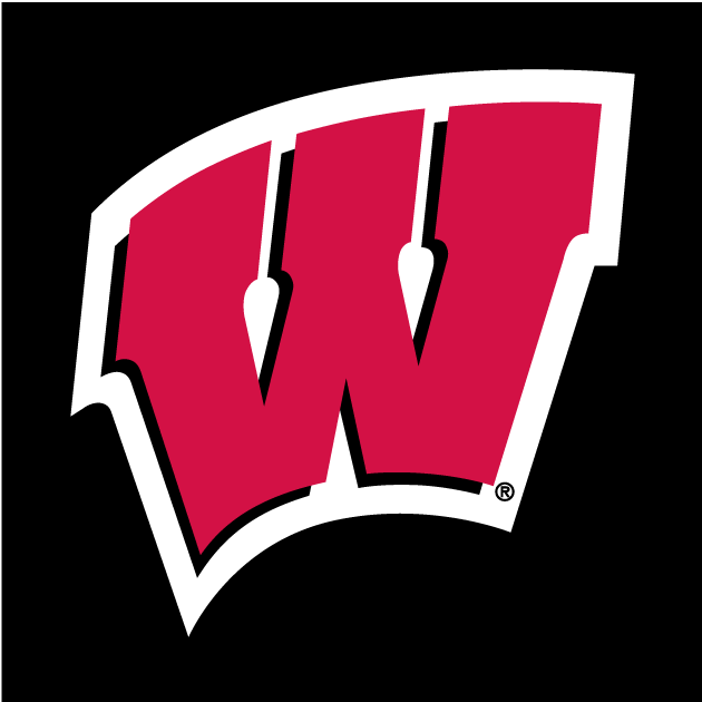 Wisconsin Badgers 1991-Pres Alternate Logo v2 iron on transfers for fabric